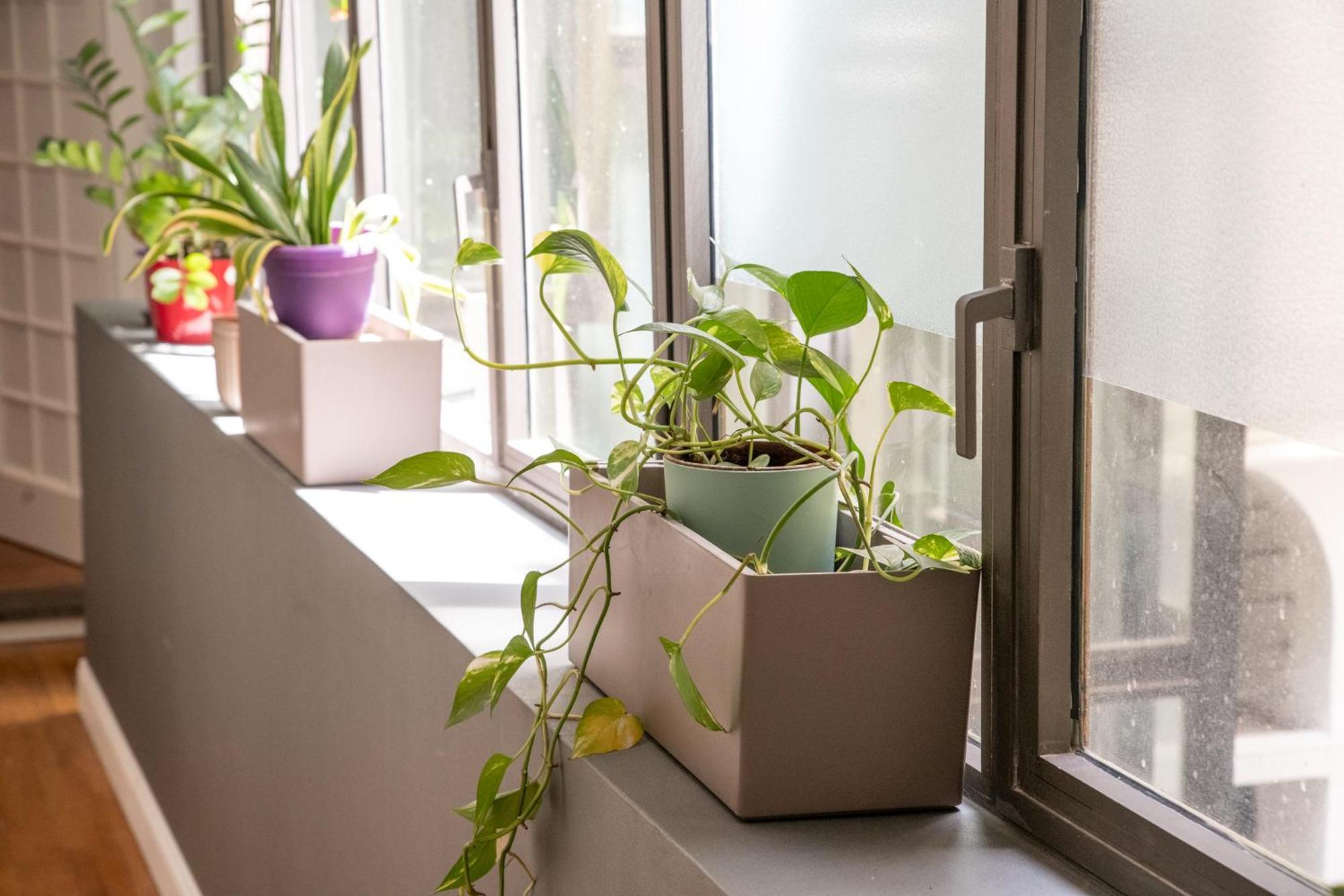 Campo De Fiori Home Рим Екстер'єр фото